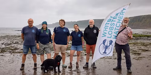 Lobster Release @ Scalby Ness w\/ Scarborough SeaLife