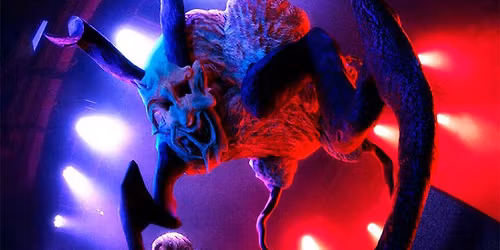 Rojuu en Sala Santana, Bilbao 2026 in Bilbao