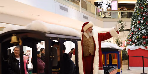 Annual Tree Lighting & Santa's Arrival