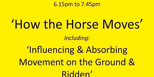 How the Horse Moves - Influencing & Absorbing this on the Ground & Ridden