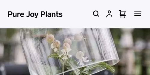 Build a Terrarium Workshop