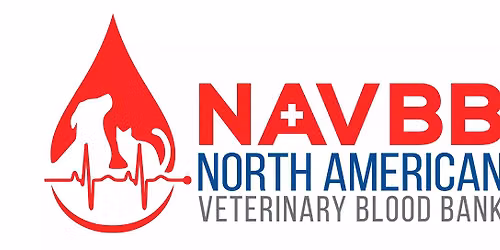 NAVBB Blood Drive