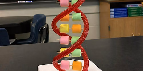 Hands-On STEM Workshop: Build an Edible DNA Helix- FREE EVENT
