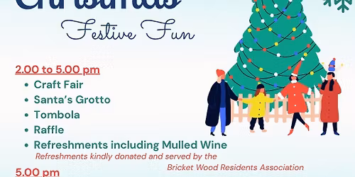 CHRISTMAS FESTIVE FUN