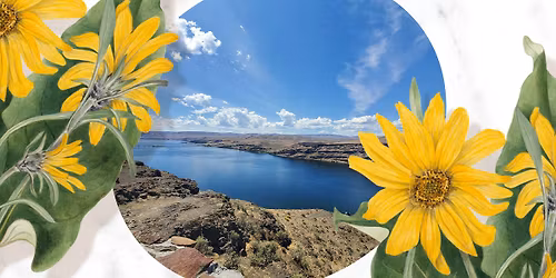 Concert III: America the Beautiful