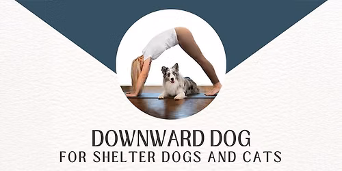 Downward Dog