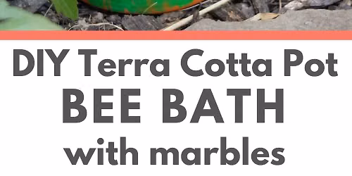 Free Kid craft Saturday- Bee Bath 
