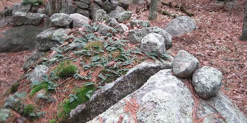 NEARA Fall Conference