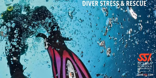 Diver Stress & Rescue 