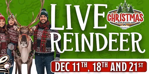 Christmas Tree Lane - Pictures with Live Reindeer