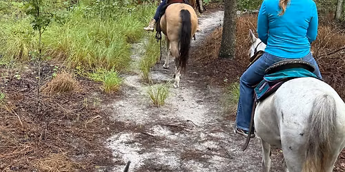 Scheduled Guided Horseback Rides