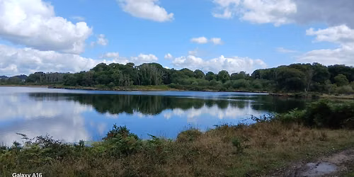 Lagoon Walk\u2013 aAn exclusive opportunity to preview of our New Viewing Screen