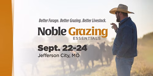 Noble Grazing Essentials