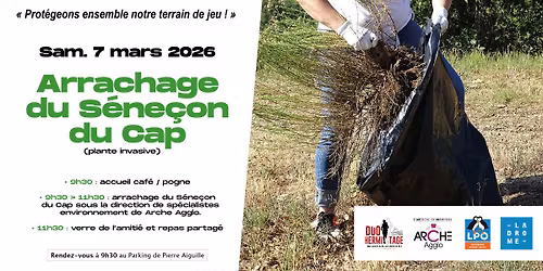 Matin\u00e9e arrachage S\u00e9ne\u00e7on du Cap \u00e0 Pierre Aiguille