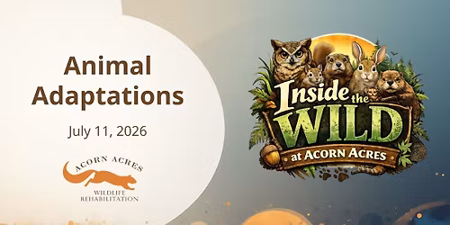 Animal Adaptations - Inside the Wild at Acorn Acres