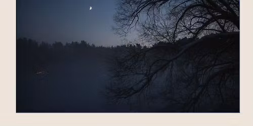 November Guided Night Wander