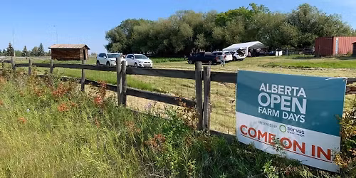 Open Farm Days at the ARAS Community Growing Patch