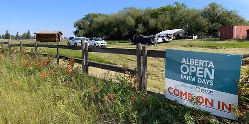 Open Farm Days at the ARAS Community Growing Patch