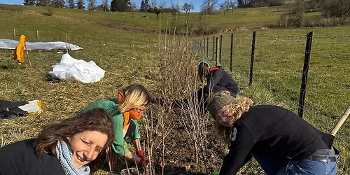 \ud83c\udf33 Journ\u00e9e de l\u2019arbre au Kass-Haff \u2013 Plantation de haies \ud83c\udf33