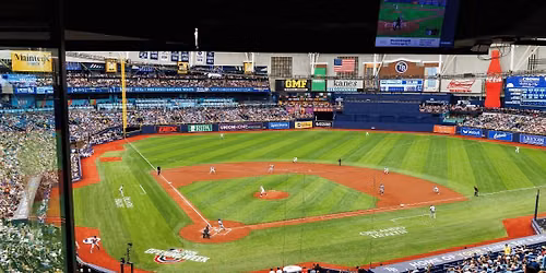 Azalea On the Go! | Tampa Bay Rays Game