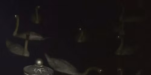 Youandewan, Jack Love in London