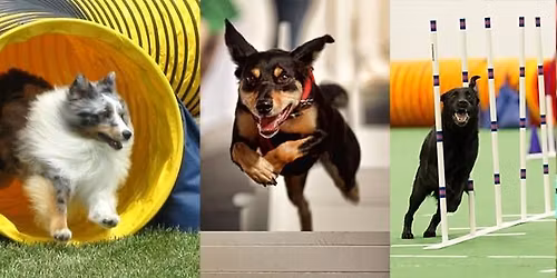 NADAC Agility Games Trial