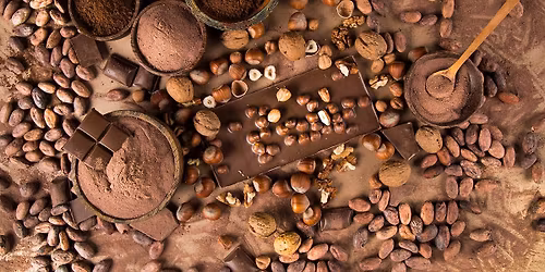 A Taste of a Career: Chocolate Craft Workshop