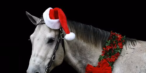 Bsps Area 3b Christmas Show Extravaganza 