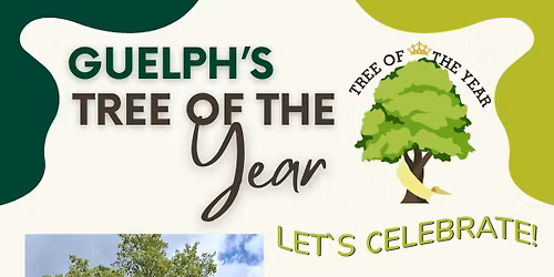 Celebrate Guelph's Tree of the Year! 