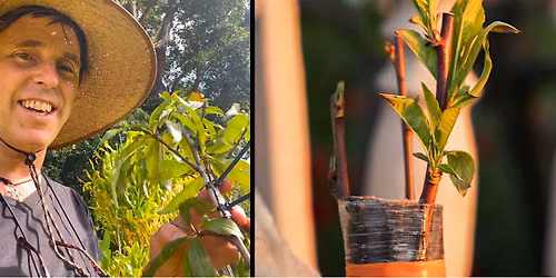 Fruit, Flower, & Plant Grafting Workshop