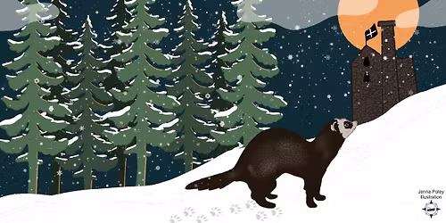 Kernow Winter Ferret Show 2026