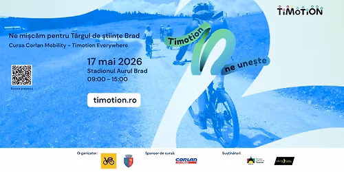 Timotion Everywhere Brad