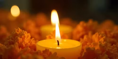 Transform Your Grief After Loss  8-Week Program