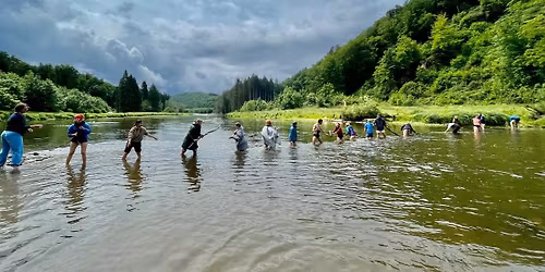 Art of Relating Mini Festival in Nature