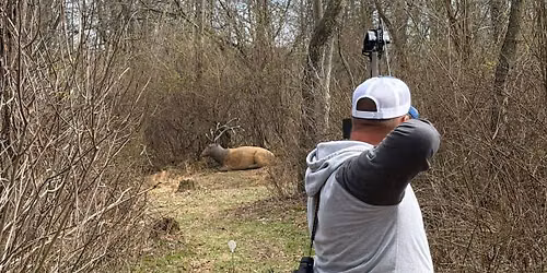 Sherwood Archery 3D Shoot