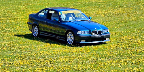 A drive around the woods when the leaves are growing