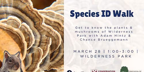 Species ID Walk at Wilderness Park