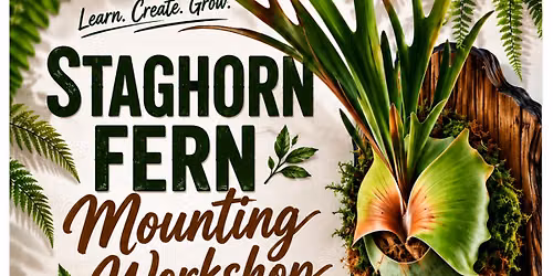 Staghorn Fern Mounting Workshop 2.0