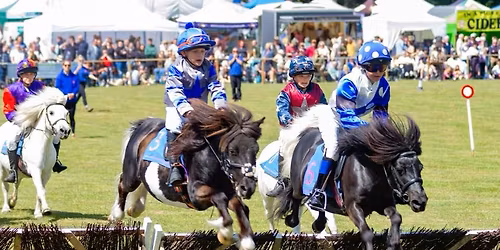 Shetland Performance Racing Trials & Showing Clini