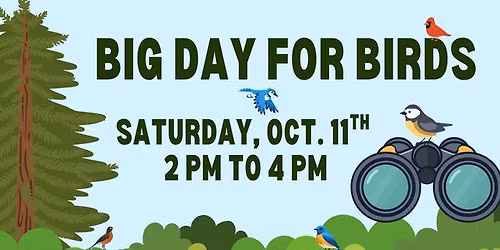 Big Day for Birds