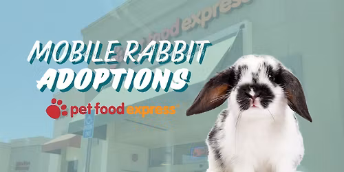 Mobile Rabbit Adoptions at Pet Food Express (Concord)