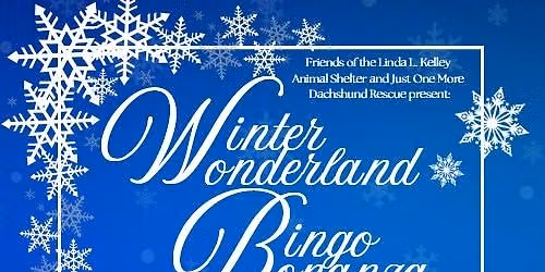 Winter Wonderland Bingo Bonanza