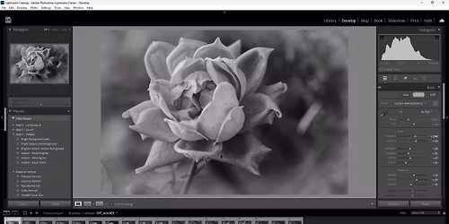 Beginner's Lightroom Workshop