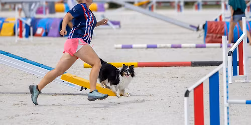 Agility intenzivka s Eli Kaletovou - B\u00cdLANY