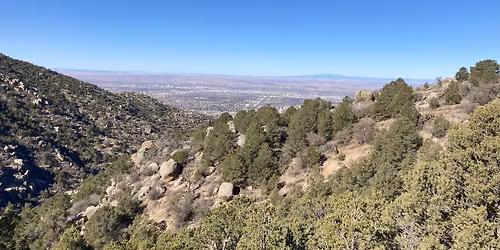 Hilarious Thursday #5 - Hawkwatch Trail Out-and-Back (Three Guns Trailhead)