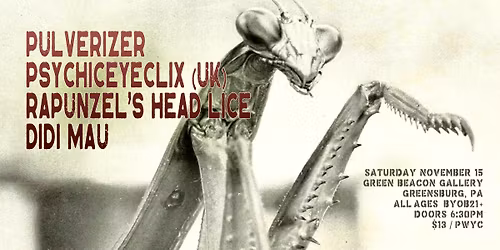 Pulverizer, Psychiceyeclix (UK), Rapunzel's Head Lice (NY) & Didi Mau @ Green Beacon Gallery