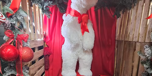 Wreath Making (afternoon)