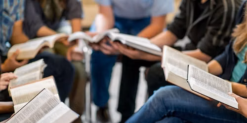 Bible Studies - choose the one that best suits you