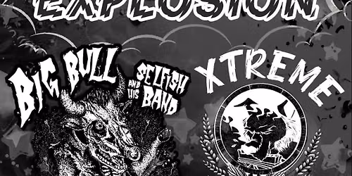 Blues, Trash & Punk Explosion