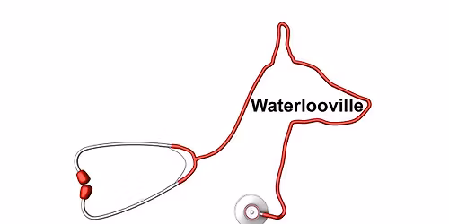 CANINE HEALTH & FIRST-AID WATERLOOVILLE